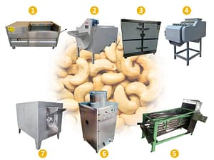 cashew nut processing machine