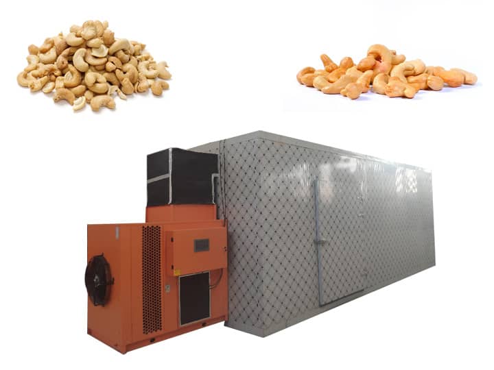 box type cashew nuts dryer machine